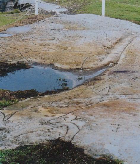 Rock engravings at Bondi golf links